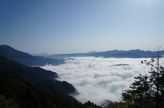 DSC01378.jpg