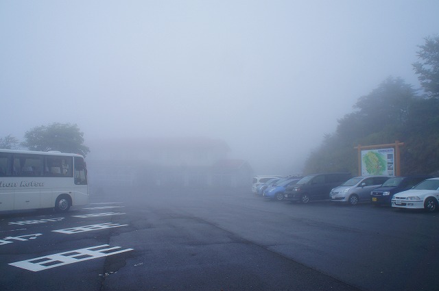 DSC02596.jpg