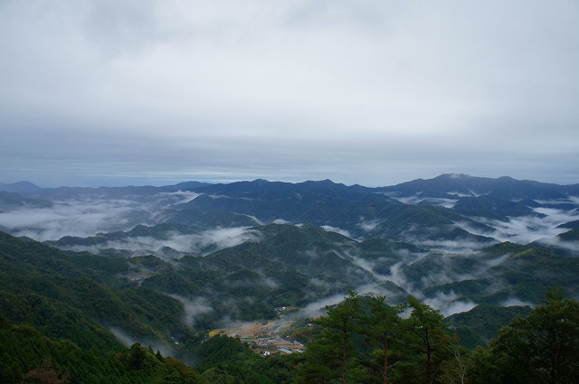 DSC02643.jpg