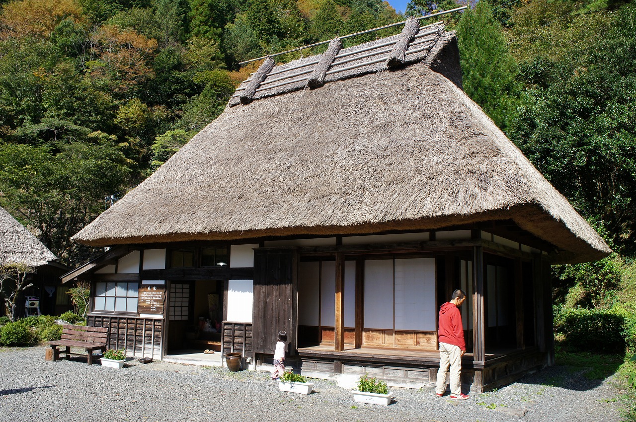 DSC03952.jpg