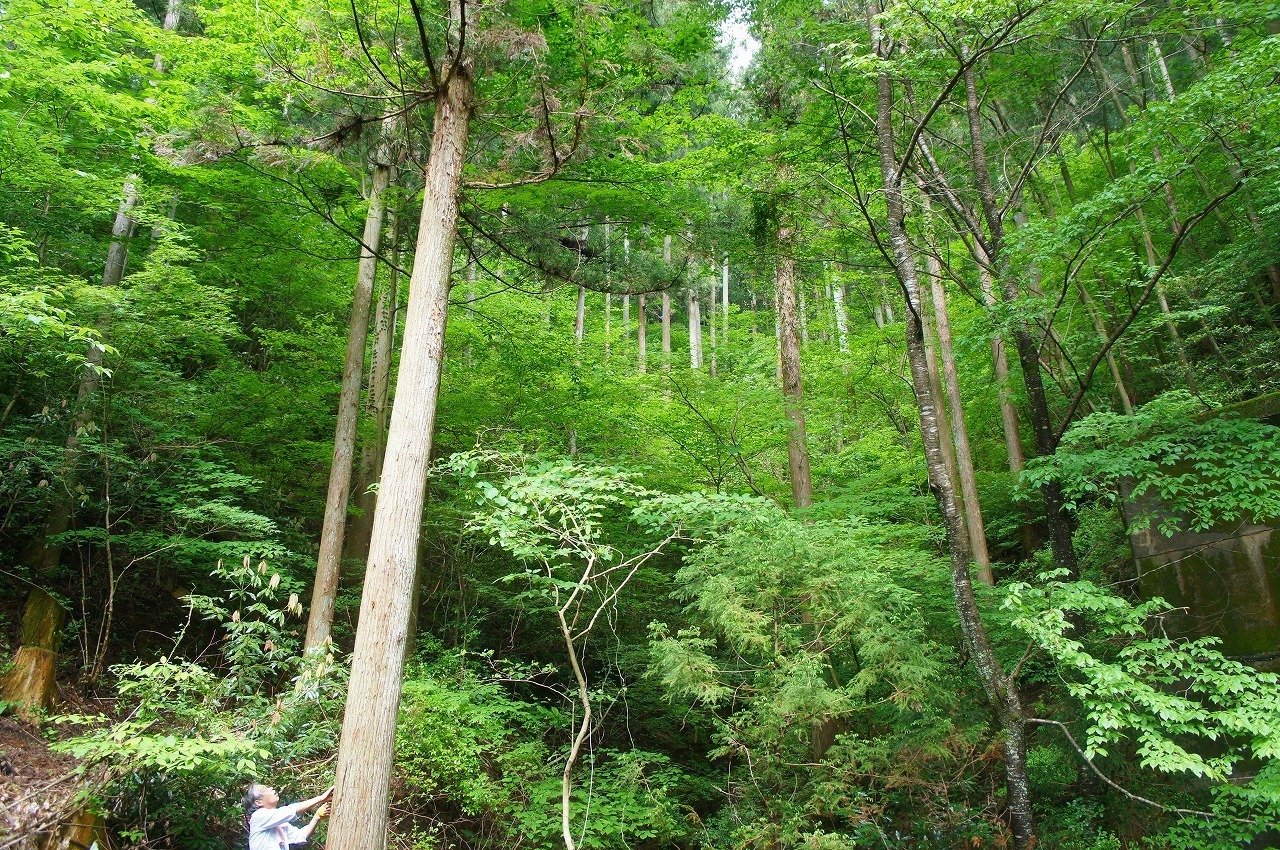 DSC04802.jpg