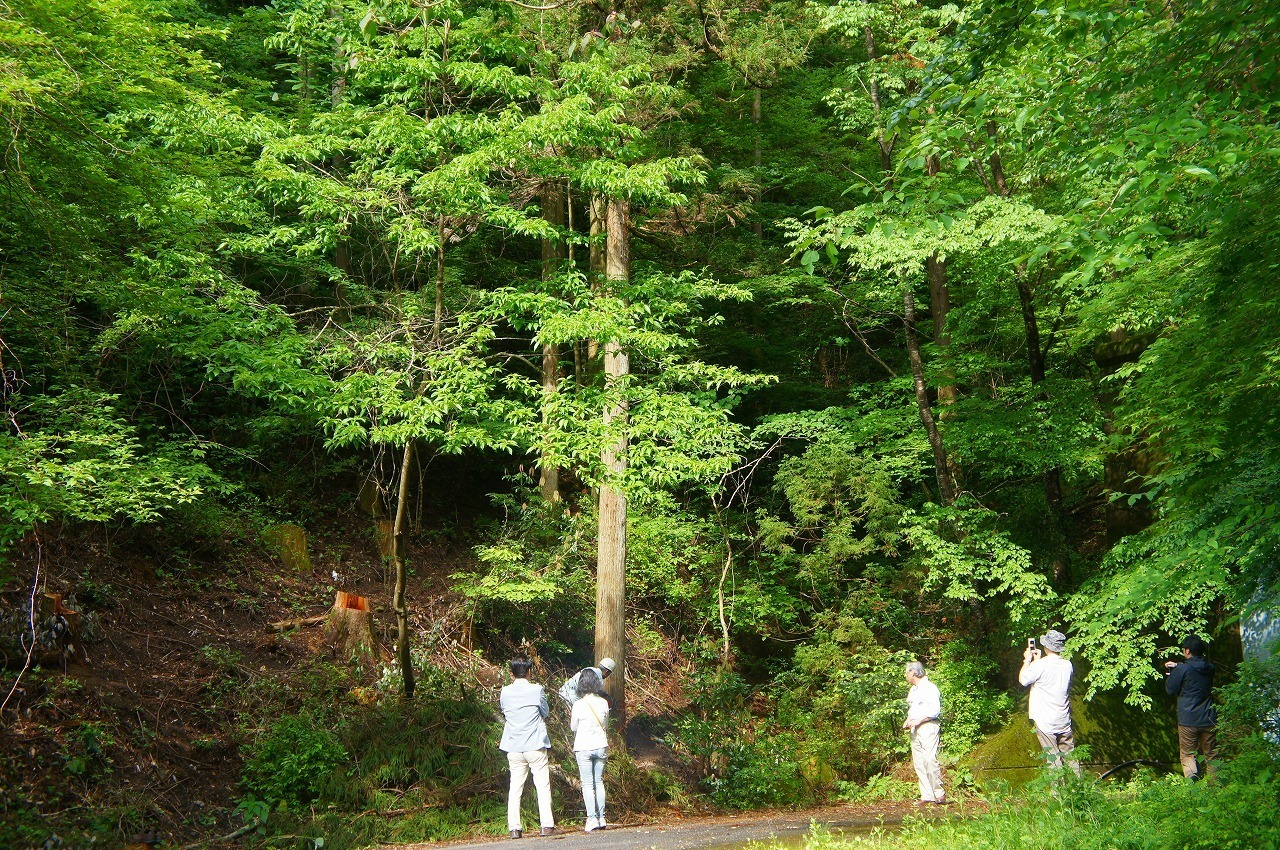 DSC04833.jpg