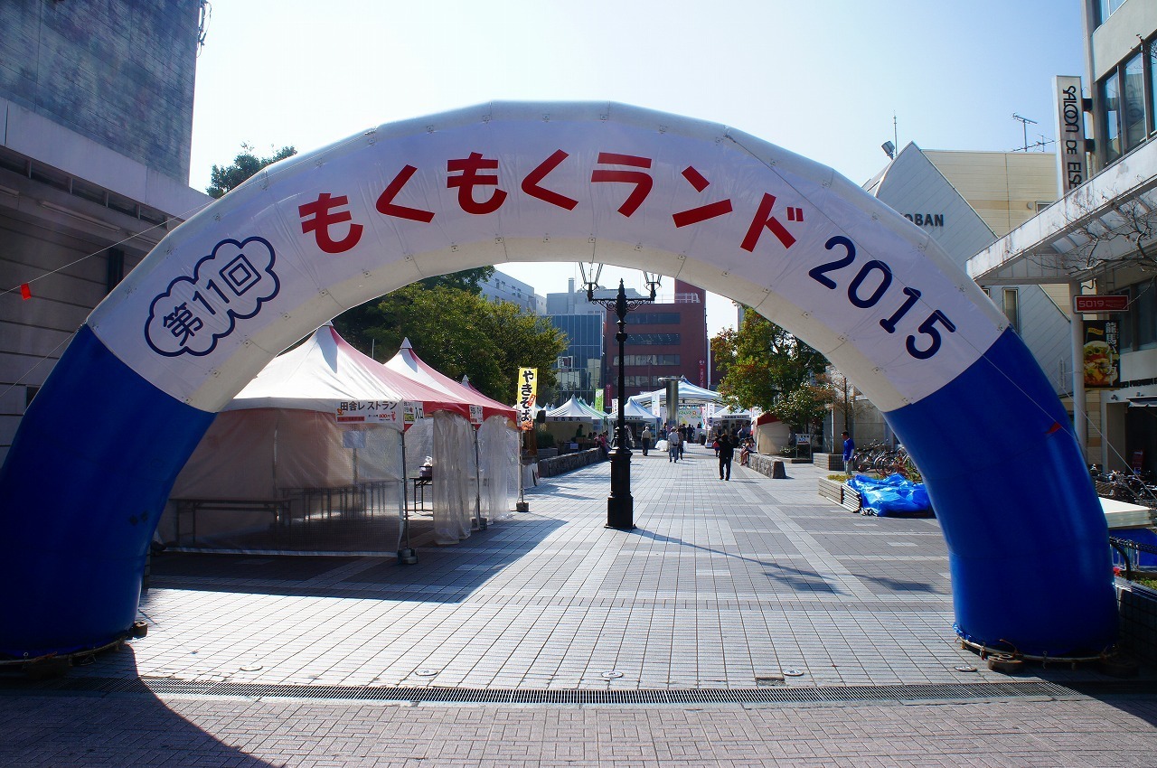DSC05248.jpg