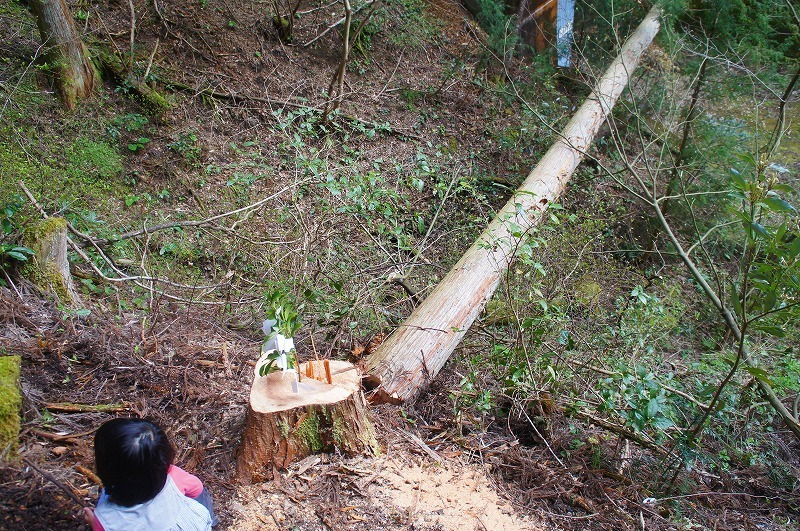 DSC05643.jpg