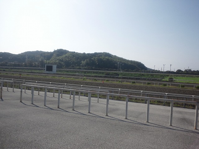 DSC_0302.jpg