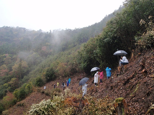 P4130019.jpg