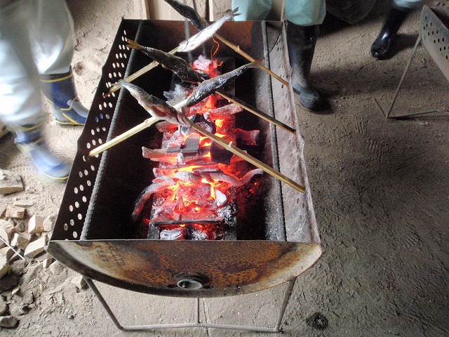 P4130031.jpg