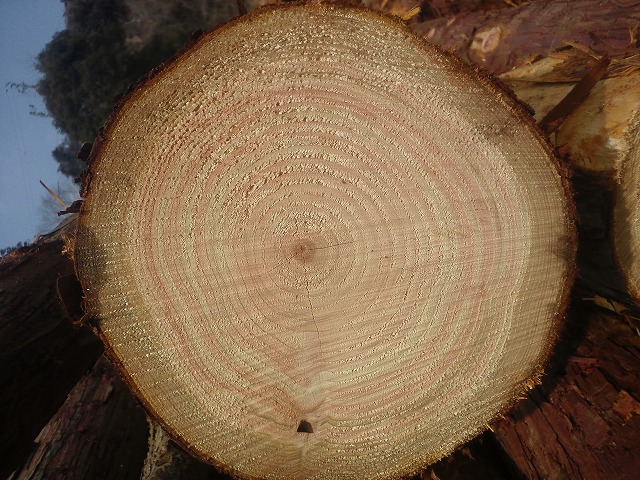 DSC_0674.jpg