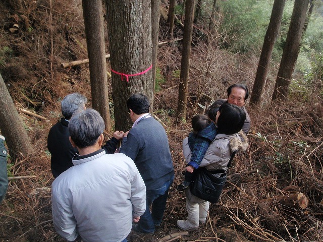 P1140022.jpg