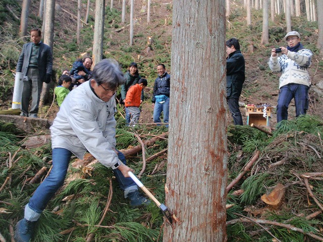 P1140049.jpg
