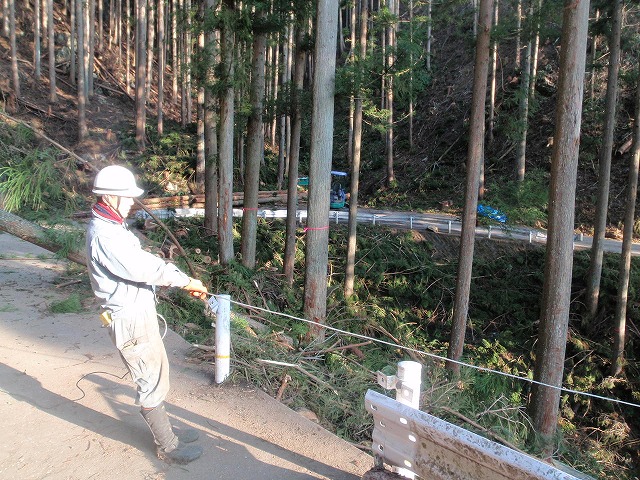 P1140054.jpg