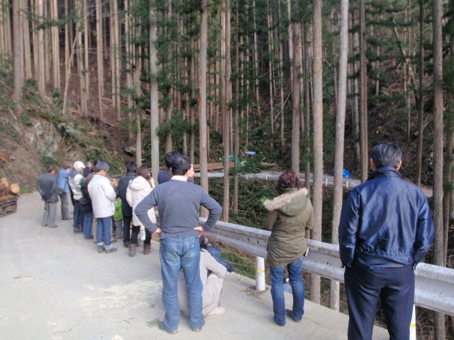 P1140059.jpg
