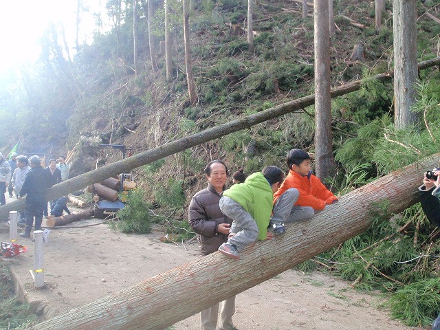 P1140063.jpg