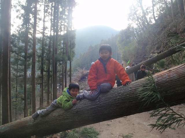 P1140064.jpg