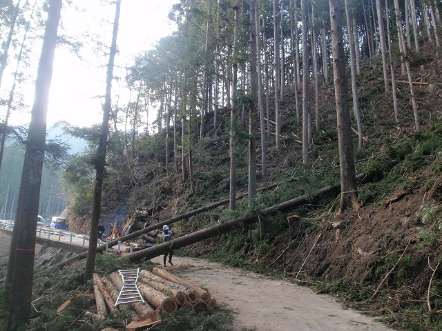P1140071.jpg