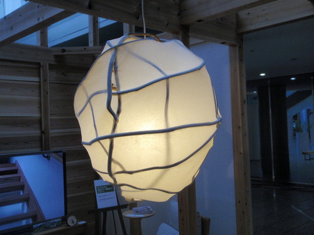 P3020027.jpg