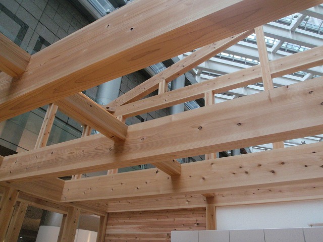 P3020028.jpg